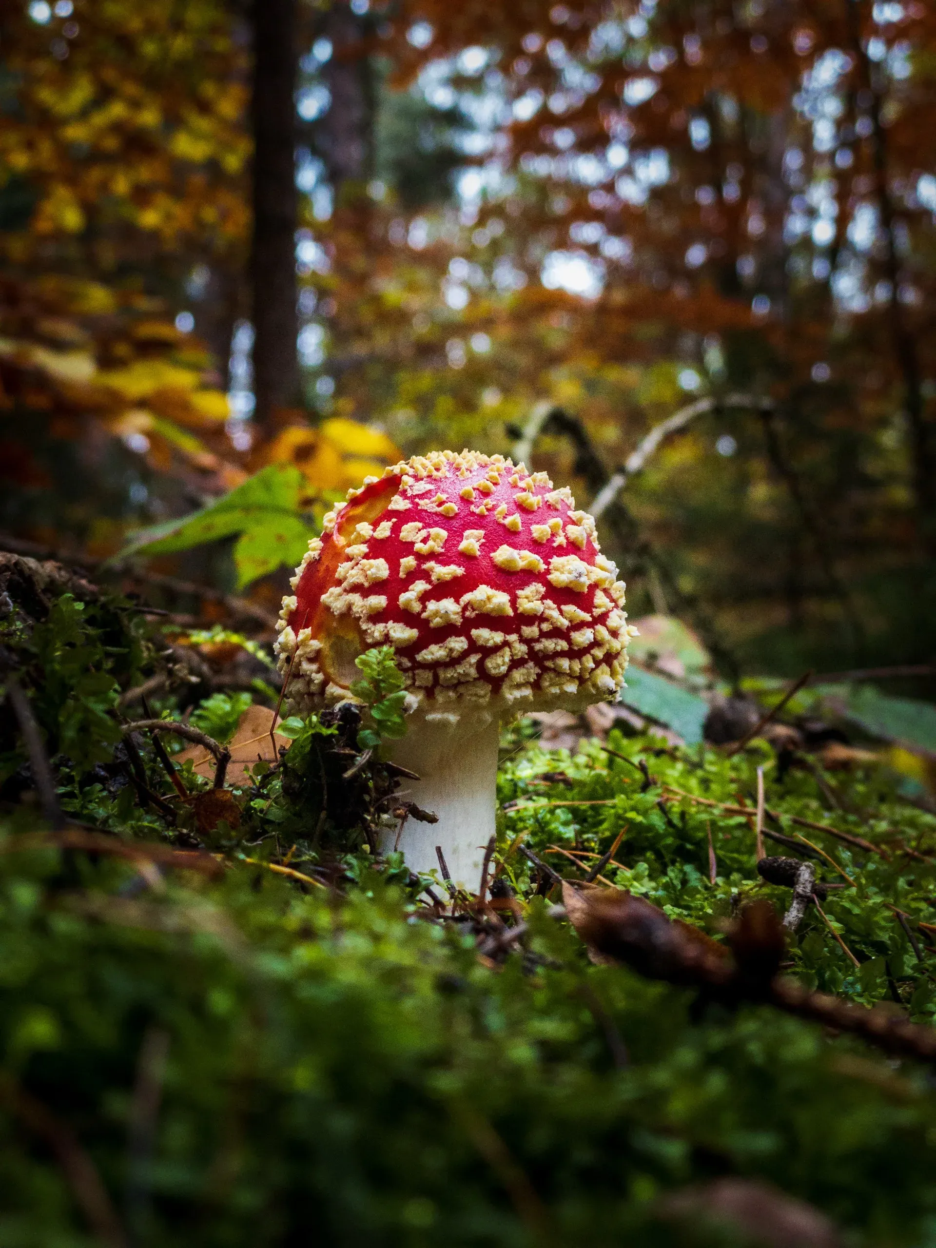 Podzimní Kladno - Kladno