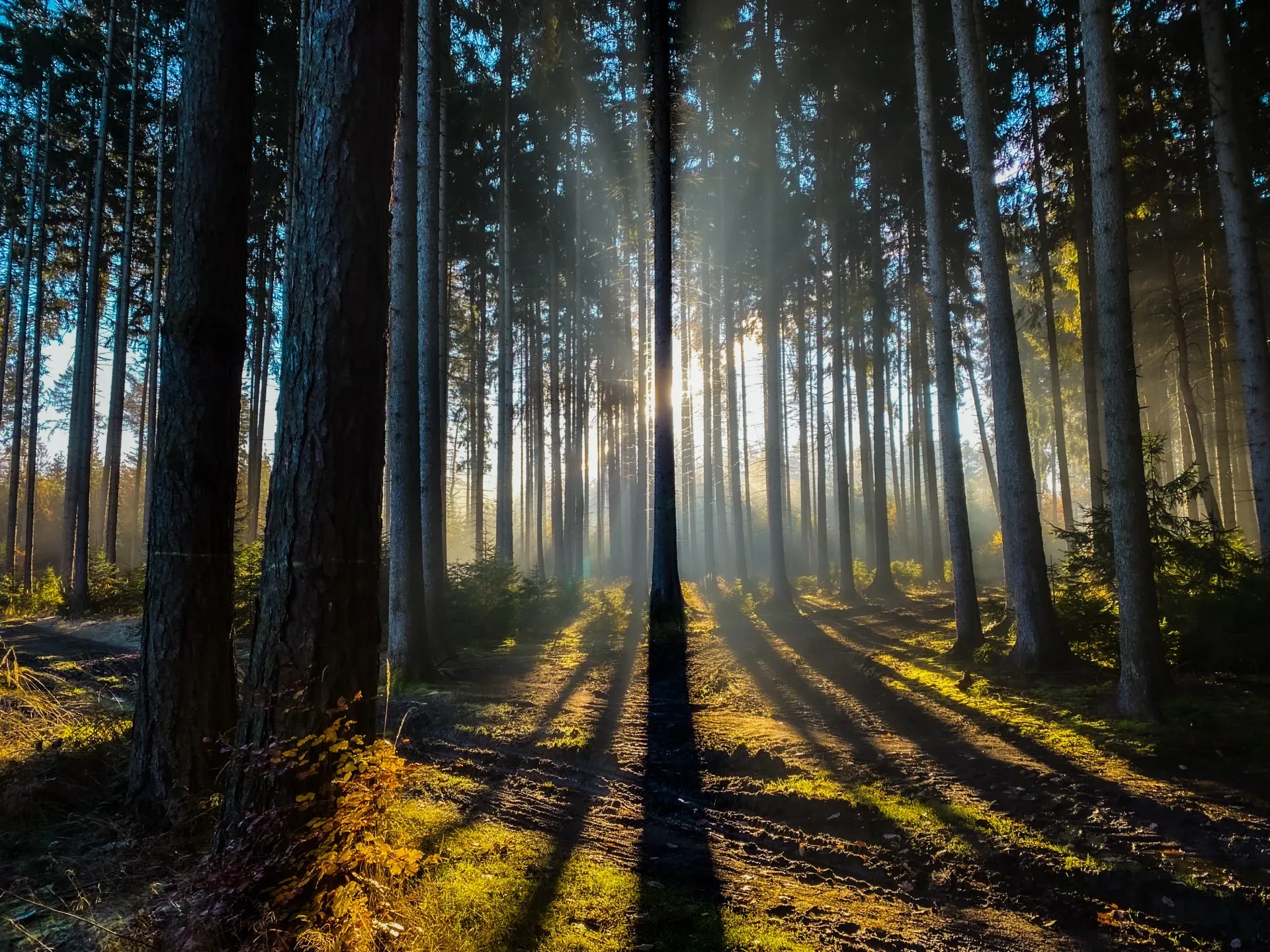 Podzimní Kladno - Kladno