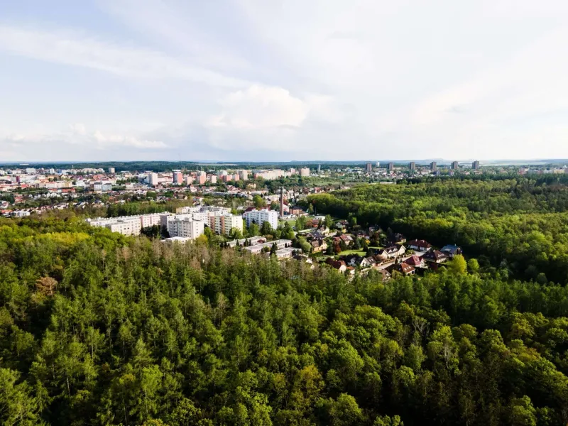 Budoucnost lokality Na Vyhaslém